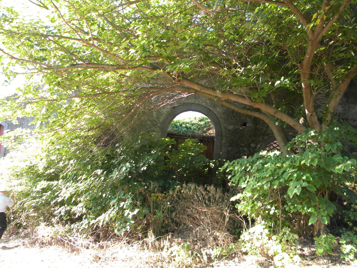 DSCN8049 .JPG